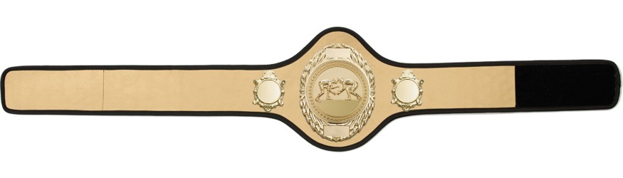 GRAPPLING CHAMPIONSHIP BELT-PRO286/G/GRAPPG-10+ COLOURS